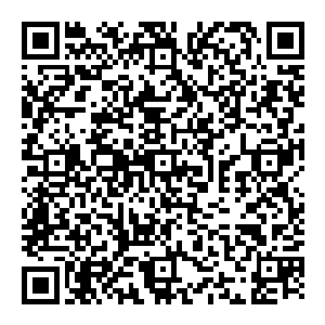 没有人认出站在路边抱着一把吉他的男人就是雨果――甚至根本就没有人愿意放慢脚步观看路边这个依旧没有开始的表演队伍二维码生成