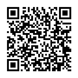 没有任何一柄极品圣器或者半神器能承载得了他的攻击二维码生成
