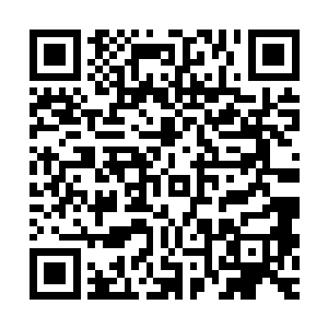 没有任何人敢首先动手――因那是挑战天庭几十万年的统治权威二维码生成