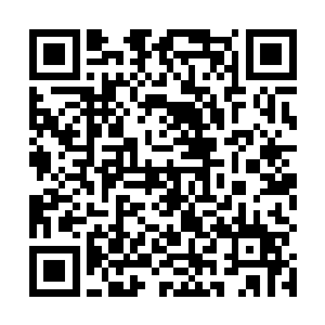 没有任何的证据能够证明艾德娜和此事件有任何的联系二维码生成