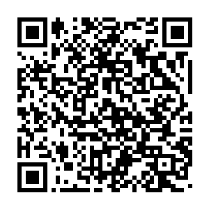 没有几分钟的时间所有的小混混都和他们大哥土鸡一样倒在了地上二维码生成