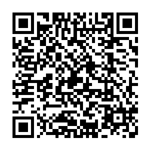 没有参加昨天晚上商谈的龙弦父子虽然在路上简单了解了此行打猎的大概二维码生成