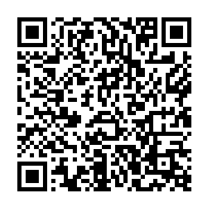 没有和大乘期修士对上・许紫烟原本觉得自己拥有火灵完全可以和王卧云一战二维码生成