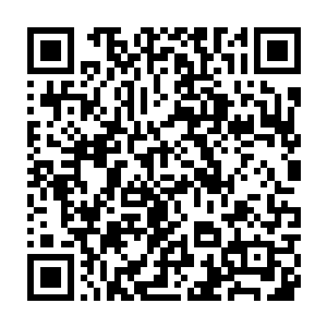 没有和金狐狸相处过的人是不会知道他在拍摄当中节操无下线的程度的二维码生成