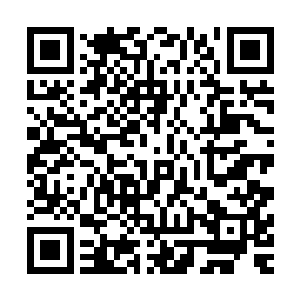 没有哪个教授会闲得无聊的下大力气修改一名本科生的综述的二维码生成