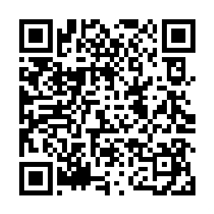 没有强大的功法和战技支撑下也难以抵挡莲爆剑气之威二维码生成