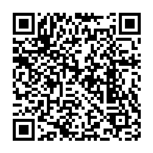 没有想到他堂堂一个炼虚境界的修士被两个化神期的狼狈到如此模样二维码生成