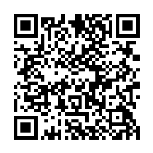 没有想到这一次竟然让你误打误撞的创造出来了一门术法二维码生成