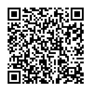 没有新生团那种需要将机甲世界的操控转换到现实世界中来的困扰二维码生成
