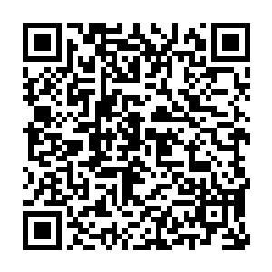 没有阳光照耀的扬州城在这样的凌晨里冷冽得仿佛一个冰冷的盆景二维码生成