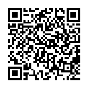 没有阵法阻挡的遮天白璧上一扇圆形院门安静的挡在路的尽头二维码生成