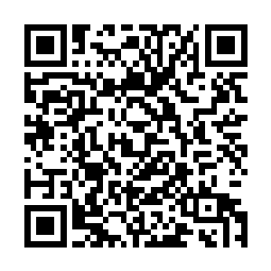 没用下面各司的人来担当也是怕执行这次的任务时各司护短二维码生成