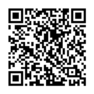 没看会客厅里的另外一个服务员小姐妹脸上写满了嫉妒和懊悔吗二维码生成