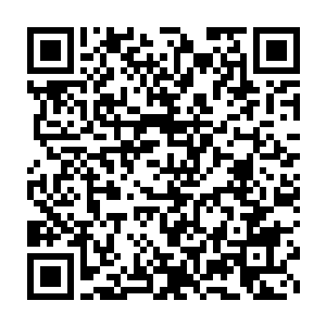 没看到李司长还有王处长他们都主动递上了名片和留下联系电话吗二维码生成