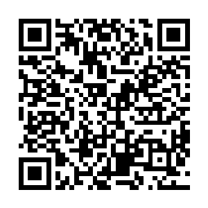 没能坚持到你们胜利……你们一定还在战斗吧……我死了二维码生成