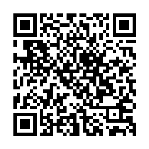 没藏讹庞站在秦王川主寨的废墟上看着一具破烂的尸体惨笑一声二维码生成