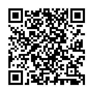 没那么多时间跟你们闲扯淡……只要你老老实实的的听话二维码生成