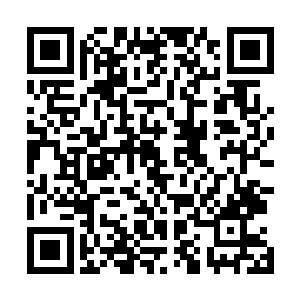 沦入大灰狼手中的小绵羊会有怎样的经历难以一一细述了二维码生成
