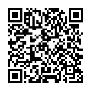 沧澜宗和阵宗的天尊大修士是绝对不会在和许紫烟作对了二维码生成