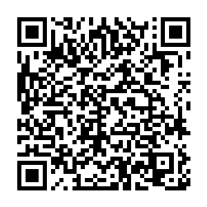 法律不许出售但是任何一条法律都没有规定贝海不能带回家吃掉它二维码生成