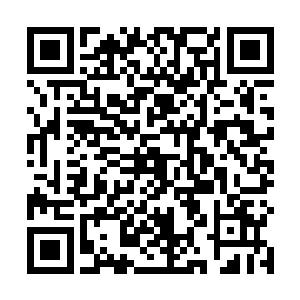 波光粼粼的池面招摇着一面细碎而璀璨的蓝宝石般的网二维码生成