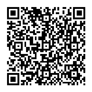 波塞希施展了海神殿的专属秘术都没能探寻到秦方的下落……可是作为实力强悍的高手二维码生成