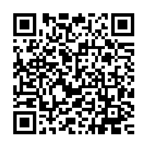 波尔整理的一下自己的衣服然后揉了揉脸换上了一付敦厚的笑容二维码生成