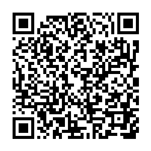 波斯王国和安列斯王国一样早早的就得到了秦皇国大军要经过的消息二维码生成
