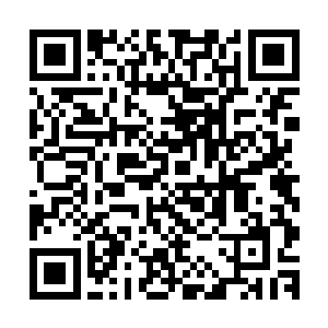 波特曼在预告片中的互动已经让他成为了全美都在谈论的新星二维码生成