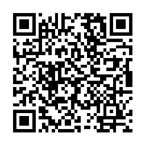 波纹号次没钓到鱼的消息立刻会在几分钟之内传遍小城二维码生成