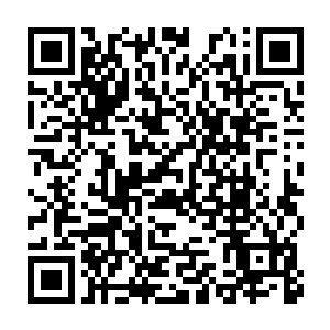 注意力全在周围那些与流墨墨看过一般无二的镶嵌在岩石中的斑斓物质~二维码生成