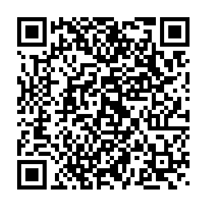 泰格已经可以想象家里在收到两个人的成绩单之后会是什么反应了二维码生成