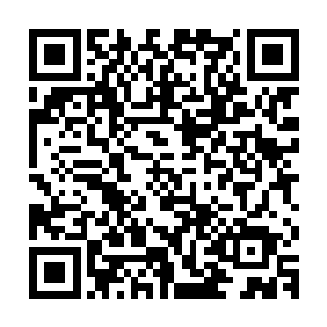 泻得脸青唇黑的田统领田府亮有气无力的撑了一根木棍走了上来二维码生成