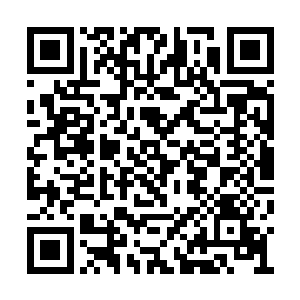 泽格族的生活习惯也注定让他们和神族成为死敌二维码生成