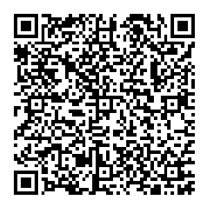 泽梅尔只是个小小的勋爵 艾尼莎也不过是侯爵而已 至于那个神州人 就算他对王室有功 可再大的功劳 又怎么有资格坐王室的马车二维码生成