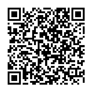 泽梅尔蹲在地上 一只手轻轻的抚摸着地上那张用北极熊做的地毯 说道 二维码生成