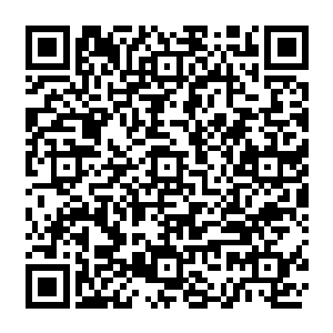 洗手间里的晏晨默默地看着安少用洗手液一遍又一遍把刚刚与安风握手的手洗了又洗二维码生成