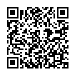 洛尔城城主很快就推翻了这个在他看来完全是不切实际的想法二维码生成