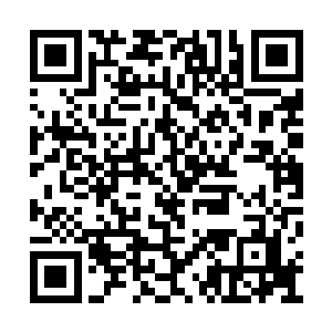 洛离开始模仿那一战时梵无劫的动作和真元走向二维码生成