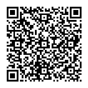 洪大力着实认识了好几个班级同学――叫他一晚上全部记住名字那明显是不可能的事情二维码生成