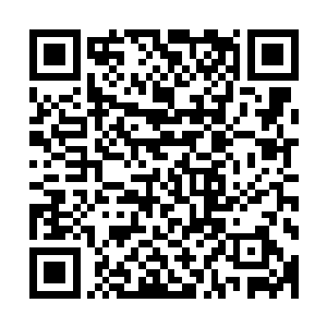 活生生把揣着满腔热情和期待的学生们挡在了思想交流的门外二维码生成