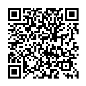 派去阻拦麒麟和墨家军暗卫的阎王阁的众多杀手只怕是完了二维码生成