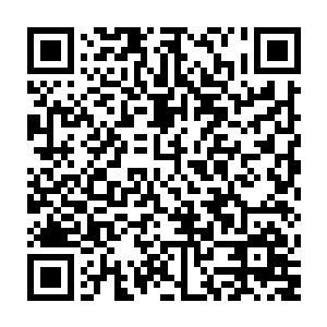 流出来的血让现在的科技检测部门正着检测倒着检测都是合格的人类血液二维码生成