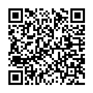 流墨墨一甩血色匹练直接把小熊寒焰丢给巨鹰寒焰二维码生成