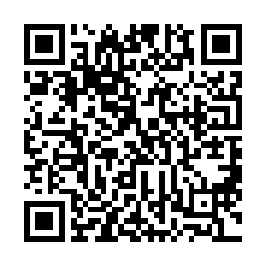 流墨墨不着痕迹的看了一眼从落地就退后的紫微星和夏剑二维码生成