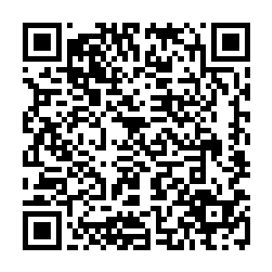 流墨墨也懒得一个个的去弄直接挥手一小片血滴飞出精准的落到每个人鱼头顶二维码生成