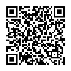 流墨墨也略微紧张的看着慢慢迂回着接近宫殿底部的绿丝二维码生成