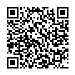 流墨墨也随即把刚刚感觉到的那股气息直接模拟到两人面前二维码生成