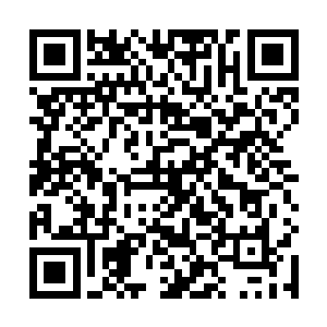 流墨墨他们却是在深入了水泽一段距离后就放缓了速度二维码生成