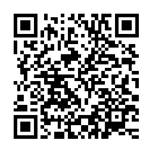 流墨墨他们在最初的惊疑迷茫后也纷纷探出神识小心的跟了过去二维码生成
